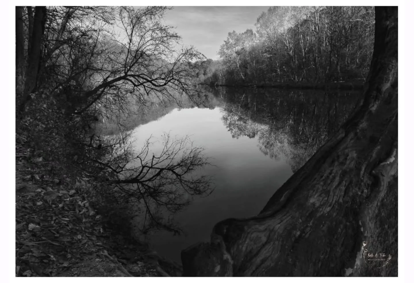 &quot;The Quiet Between the Trees&quot;

A beautiful start to November walking along the Patapsco River at Daniel's Dam area of Patapsco Valley State Park. 
.
.
.
#pvsp #patapscoriver #patapscovalleystatepark #danielsdam #bw #bwphotography #bnw #bnwp