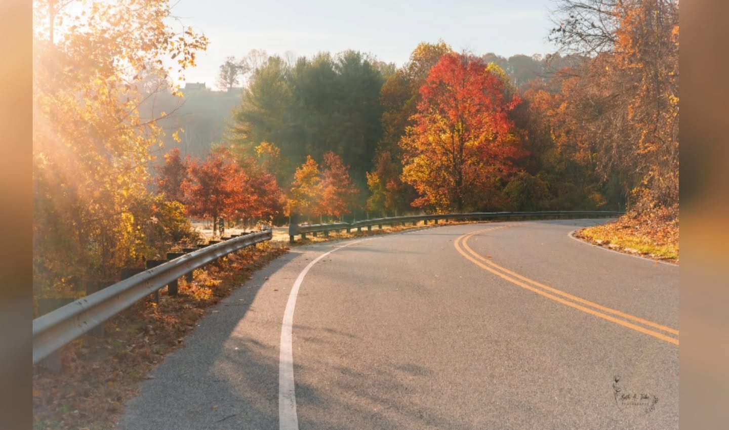 Saturday morning foggy/mist helped diffuse the autumn light.
.
.
.
#autumn #autumncolors #autumnvibes #autumnleaves #fall #fallvibes #fallingleaves #fallcolors #lochravenreservoir