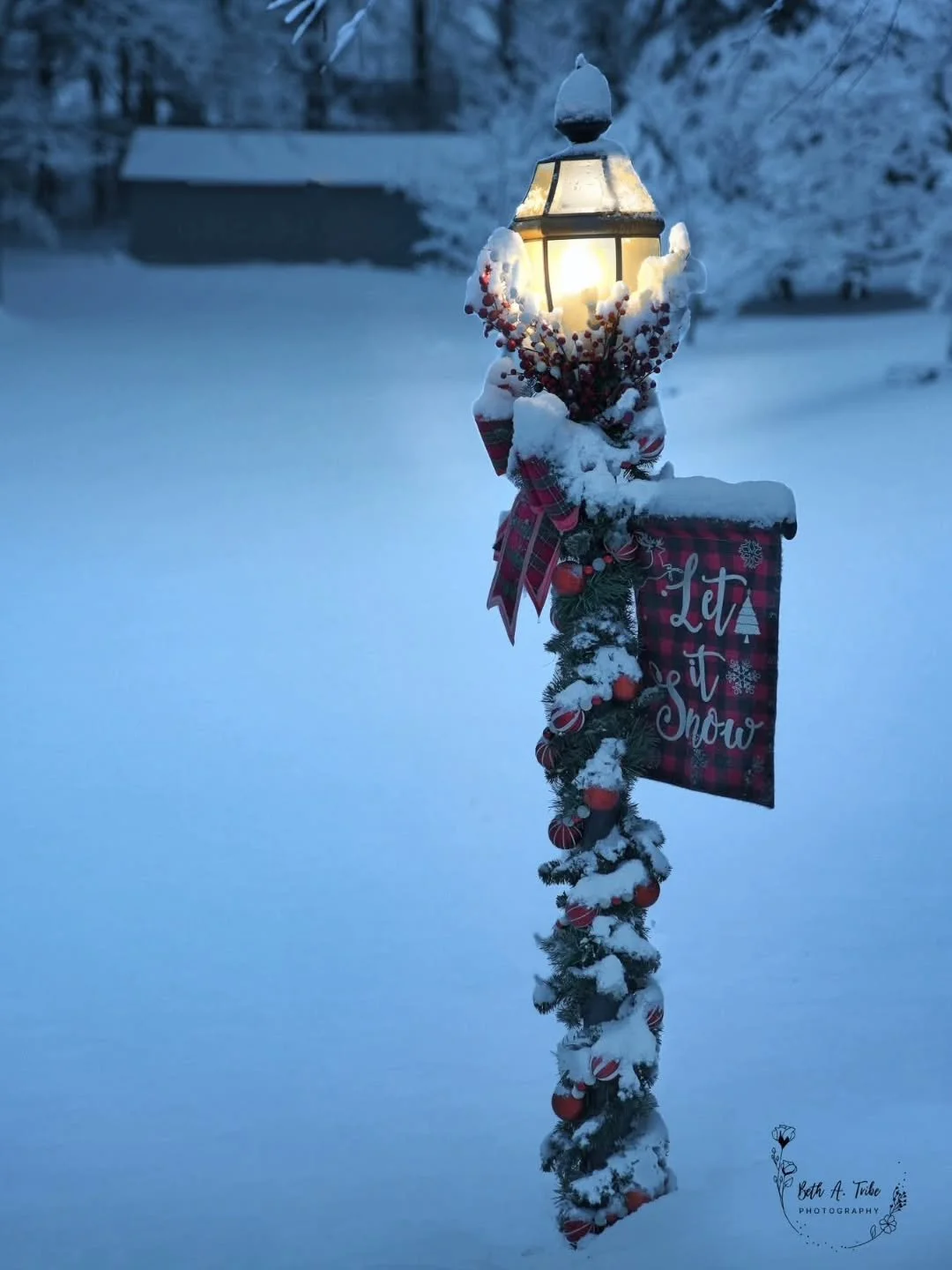 From yesterday's walk in the early light.  So peaceful after a snowfall.
.
.
.
#snow #snowscene #letitsnow #snow2025 #holidaydecorations #sony #sonya7ⅳ #sonycamerclub #sonyphotography #sonyalphafemale #sonyalpha