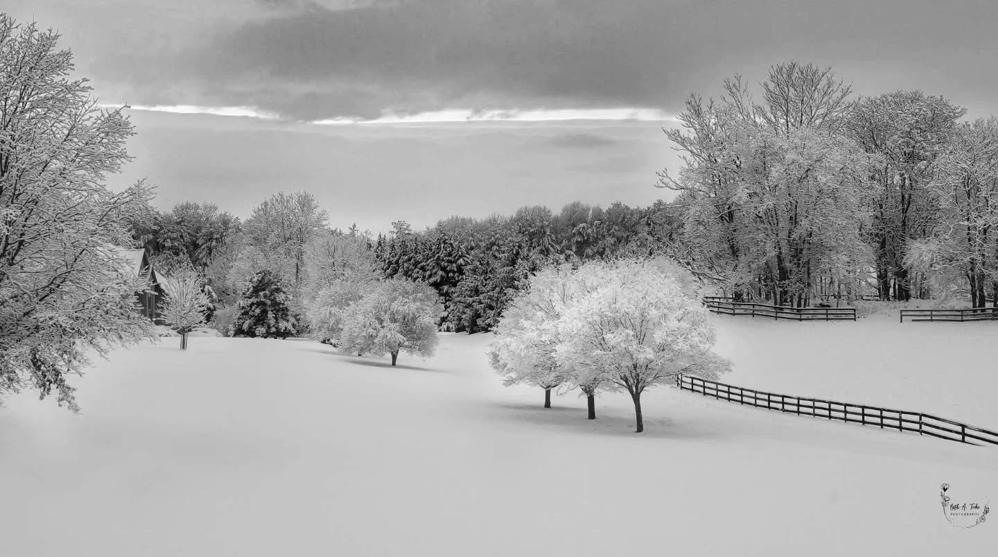 "Snowbound Stillness"

Before the snow plow came, you could barely tell where the yard ended and the road began.
.
.
.
#snow #snowscene #snow2025 #snowday #winter #winterscene #winterwonderland #bw #bwphotography #bnw #bnwphotography #sony 