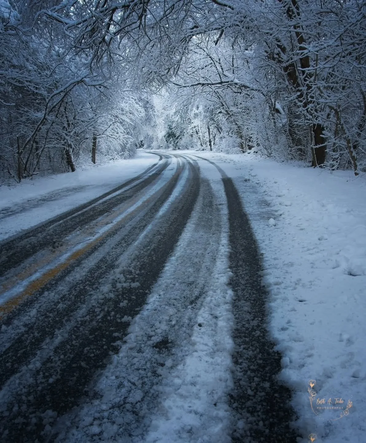 "Where Winter Leads"

Even the ordinary road becomes magical after a snowfall storm.
.
.
.
#snow #snowscene #snow2025 #snowcoveredtrees #snowontrees #sony #sonycamerclub #sonya7ⅳ #sonyphotography #sonyalphafemale #sonyalpha