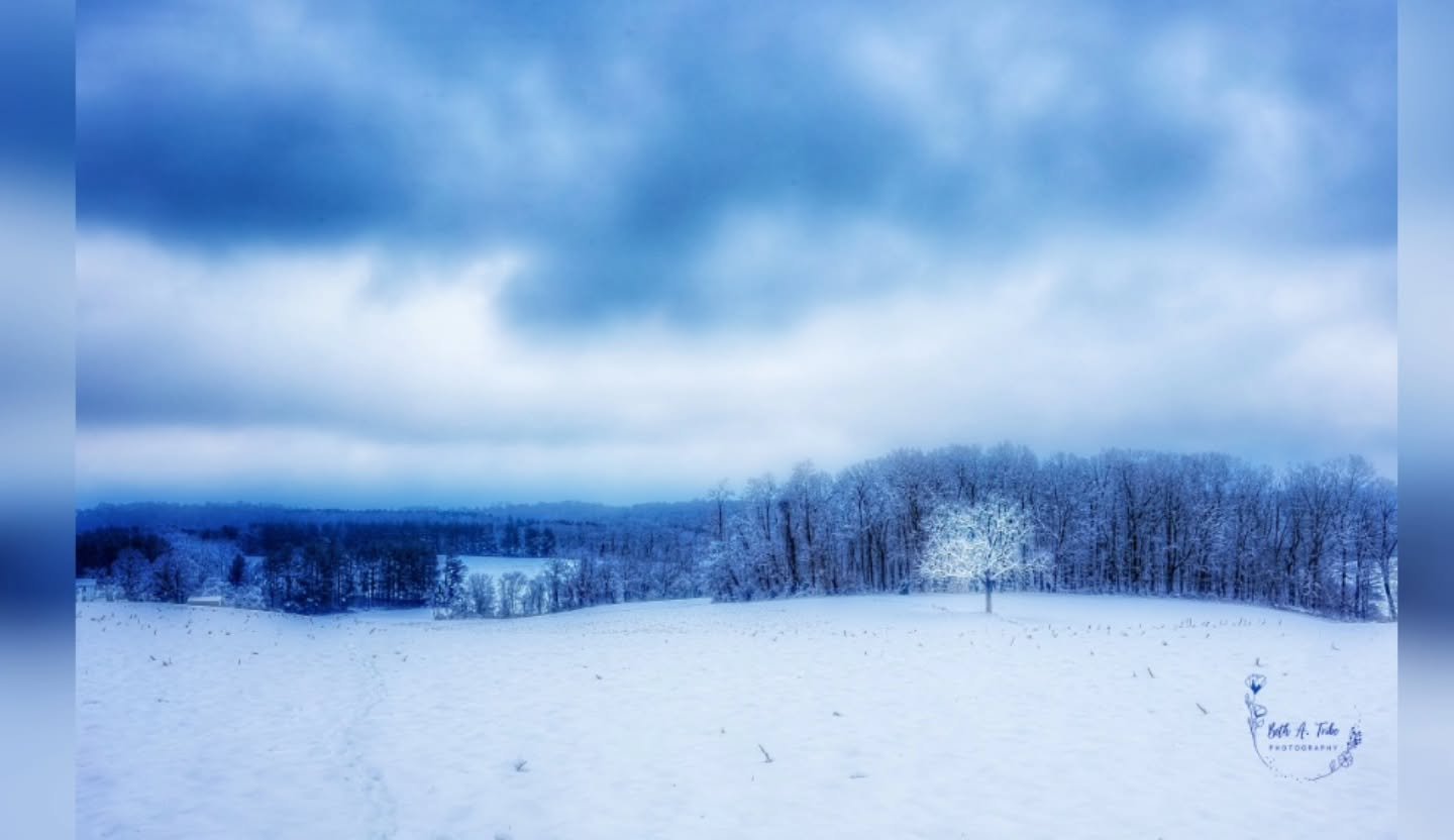 Happy Winter Solstice!  Here's to days getting longer.
.
.
.
#Winter #wintersolstice #daysgettinglonger