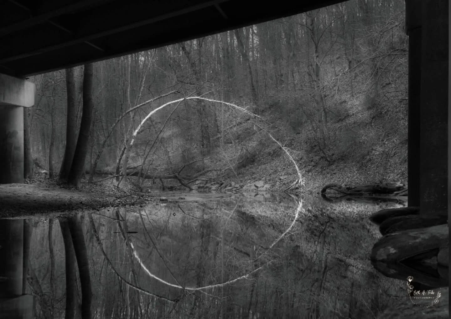 "The Portal of Silence"

A benefit of a drought is being able to shoot from a location or angle that's normally under water.  I stood in the middle of the Patapsco River under Marriottsville Rd bridge when this portal opened before me.

Tit