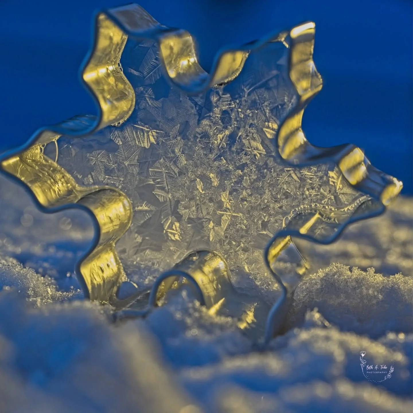 First attempt this year with frozen bubbles.  Cookie cutter in the shape of a snowflake for the win. 

#frozenbubbles 
#snowflakeshape
#frozen
#articcold