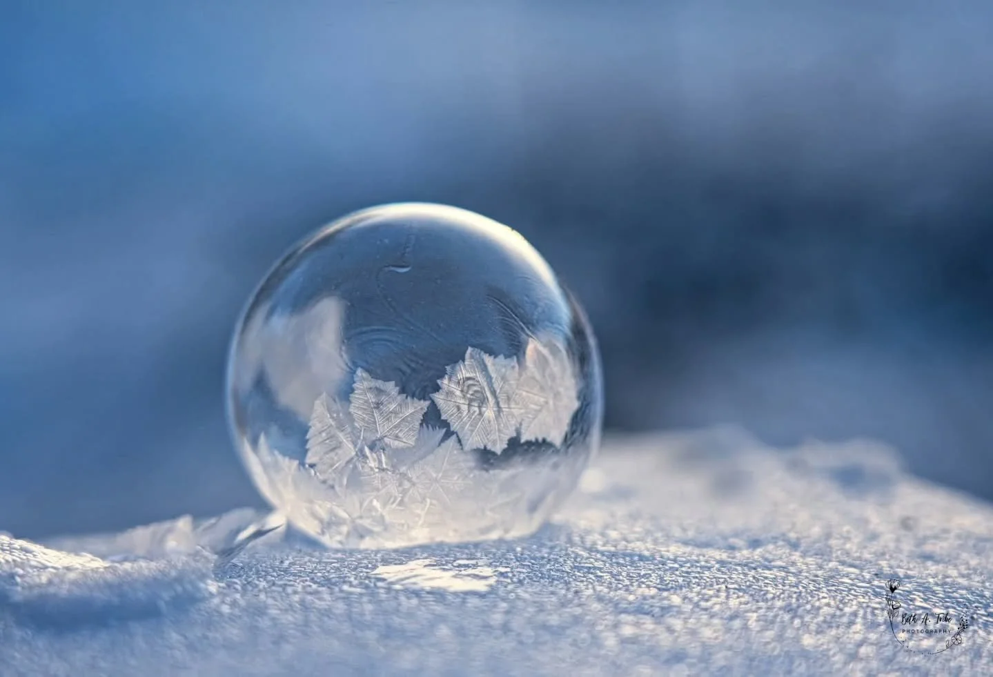 Some more fun with frozen bubbles.  But I think I'm ready for warmer temps!!🥶🥶🥶

#frozenbubbles 
#iceicebaby 
#winter
#coldtemps 
#whenwillwestarttothaw