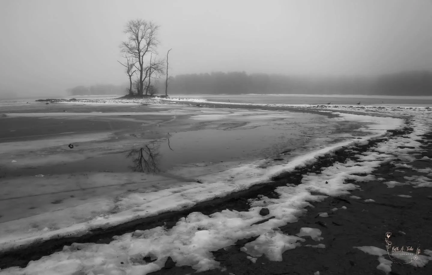 Believe it or not, after 6" of snow and 3" of sleet we are still in a drought!  Foggy day at the Loch. Drought afforded me some perspectives that normally would be under water. 

#lochraven
#lochravenreservoir 
#foggymorning 
#bw
#bnw