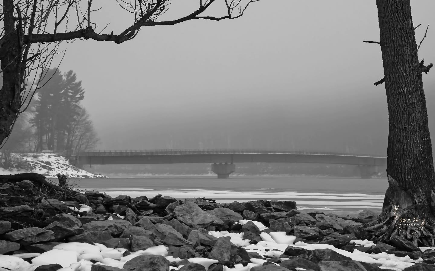 Another shot that normally wouldn't be captured but due to our drought I was able to walk out to the "island" and get it.

#lochraven 
#lochravenreservoir 
#bwphotography 
#bnwphotography 
#foggy