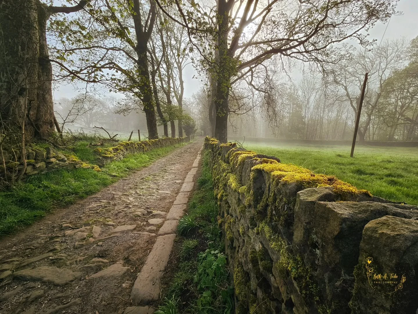 A favorite path in the foggy morn in Haworth. 

#haworthuk 
#westyorkshire 
#foggymorning 
#publicfootpath 
#springgreen