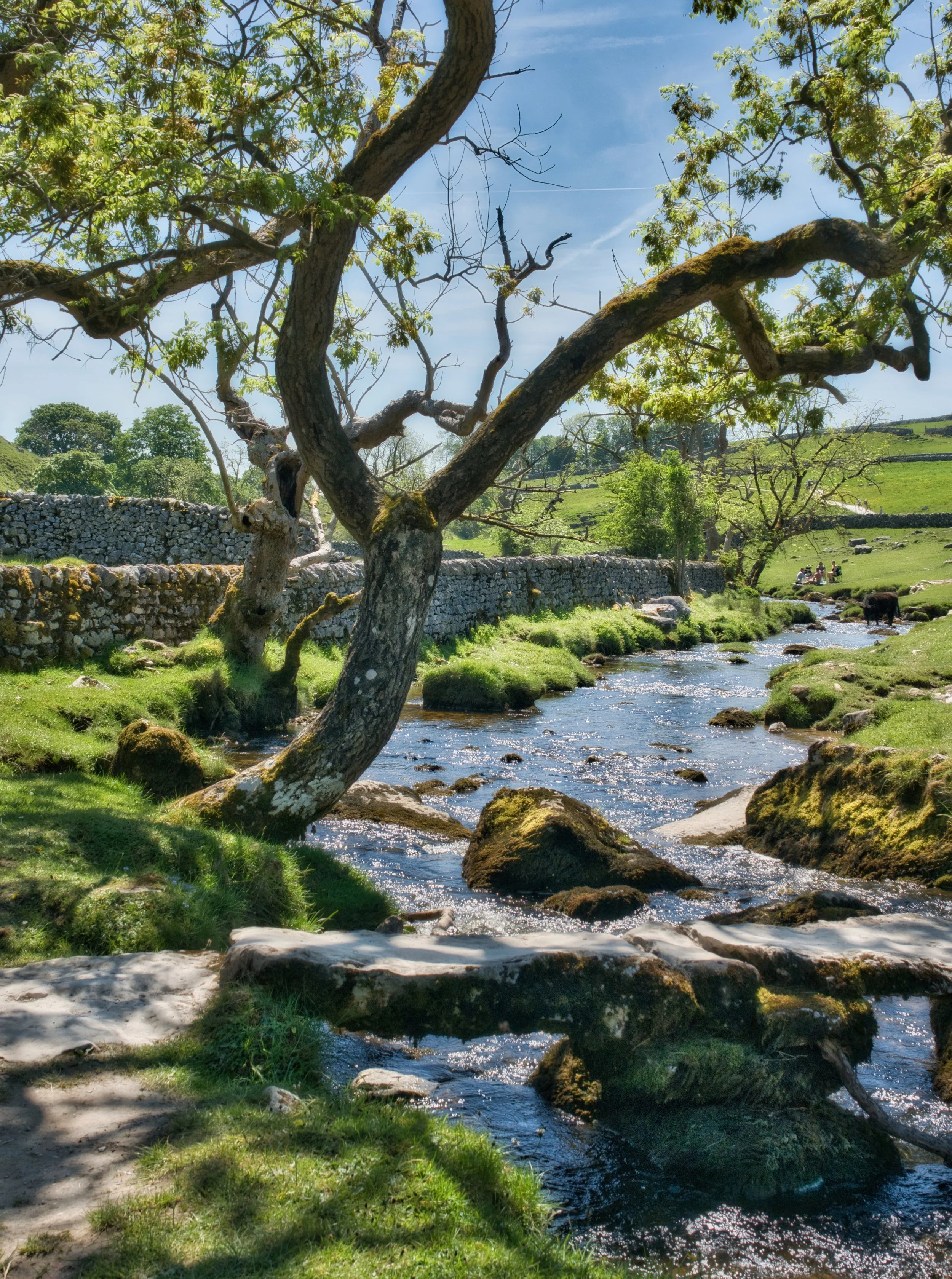 Cool Spot - Malham Cove, Yorkshire Dales, UK