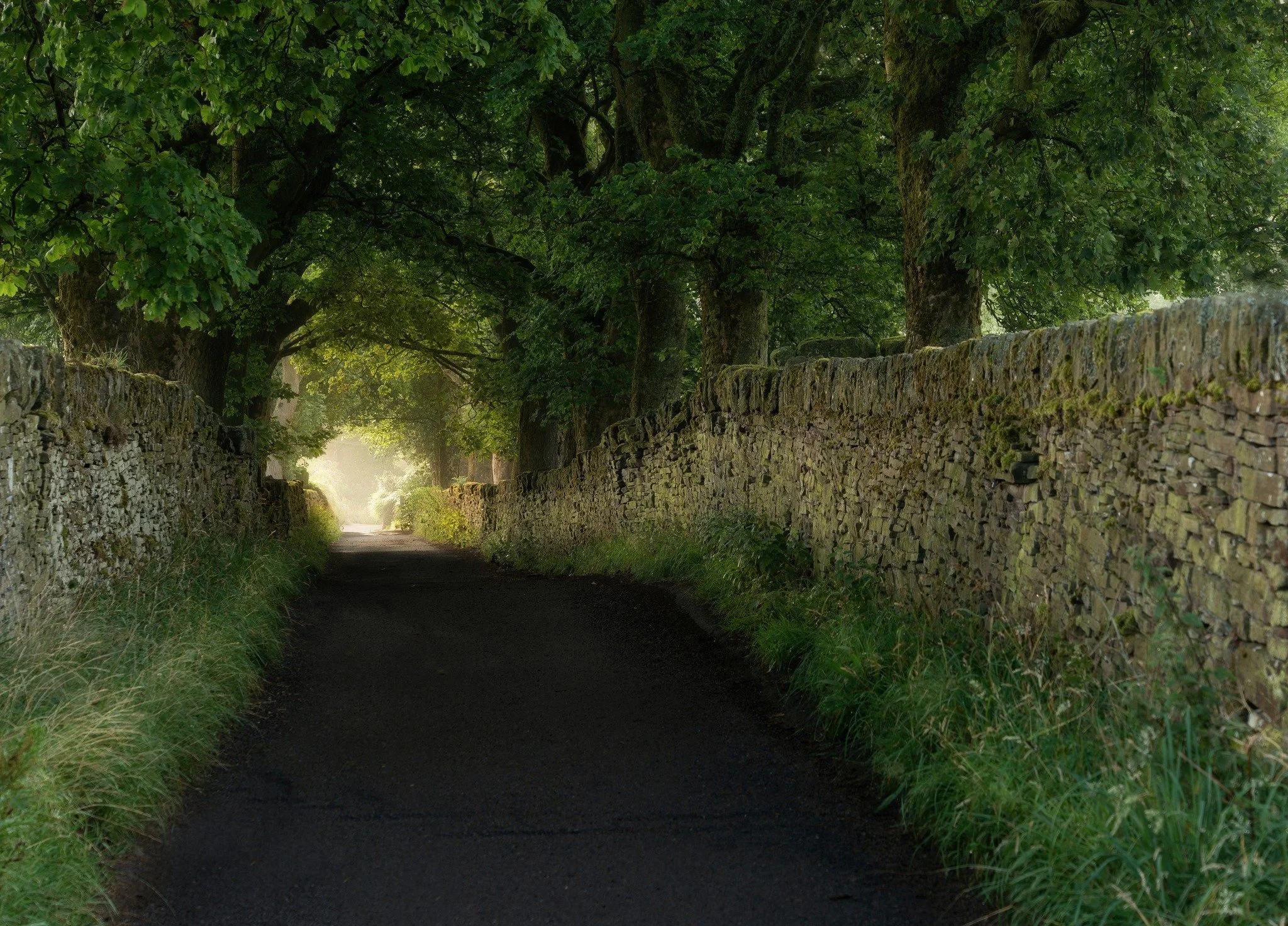 Morning Mist - Haworth, West Yorkshire - United Kingdom