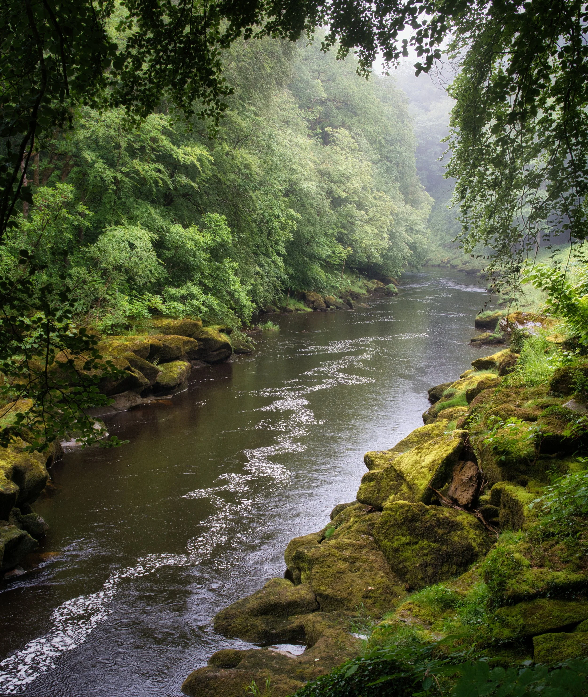 The Strid - Bolton Abbey - Skipton, UK