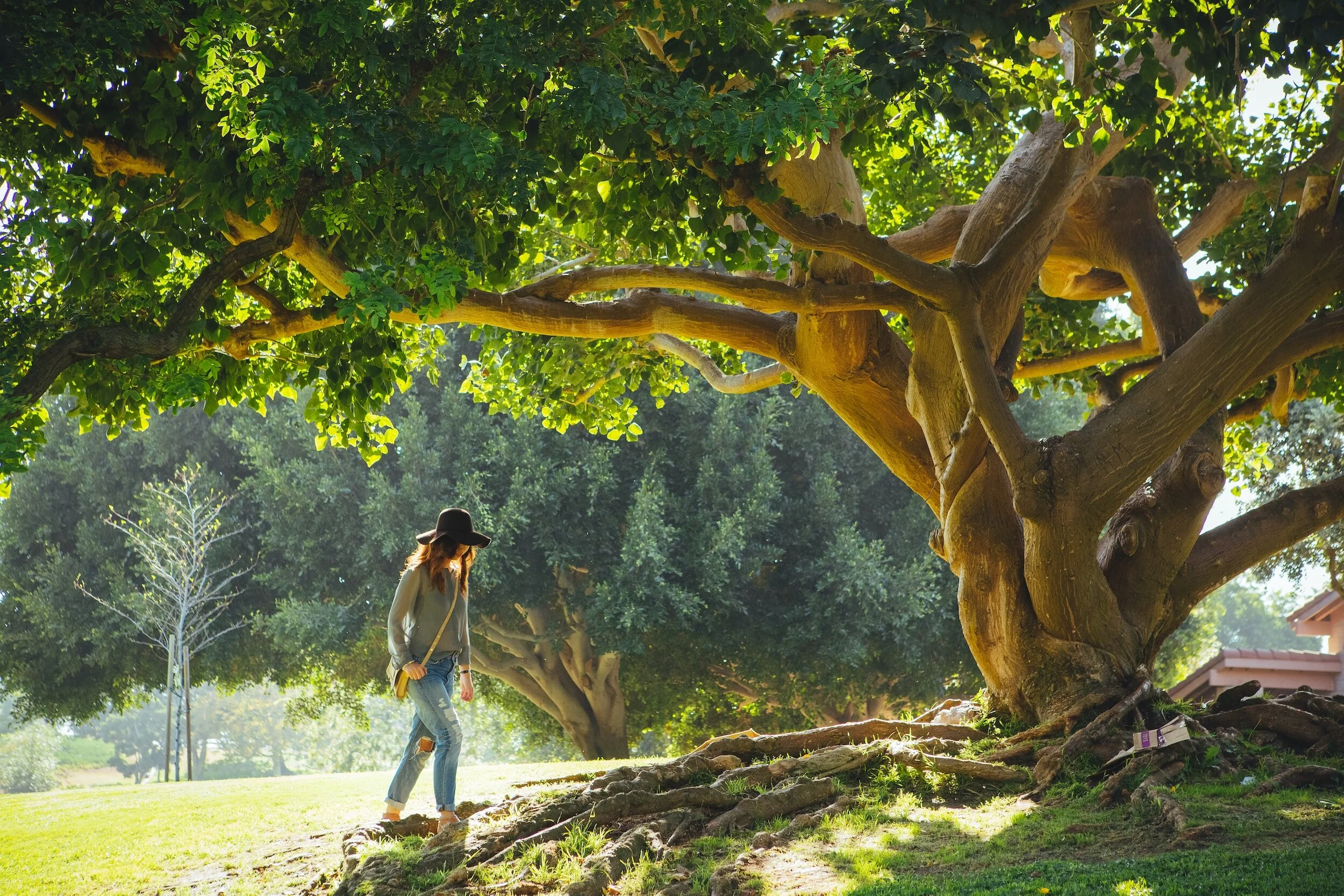 A woman with long hair, wearing a hat, white shirt, and ripped jeans, walking in a park under large, lush green trees in bright sunlight.