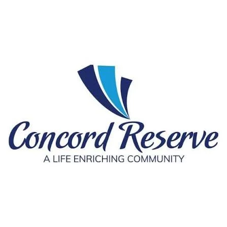 Logo with the letters D and V, and a stylized mountain and blue gradient line in between
