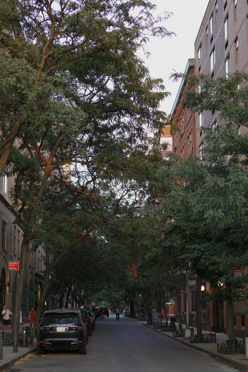 DSC06094.JPG