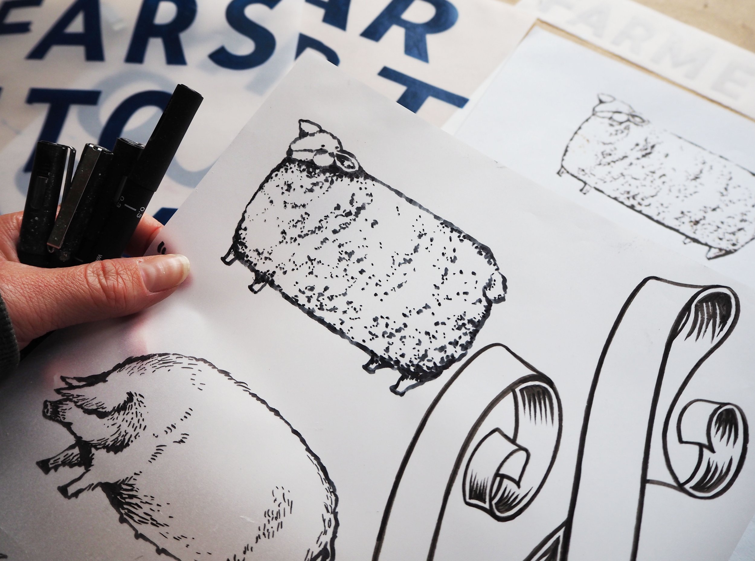 Farmer Tom Jones logo sketches