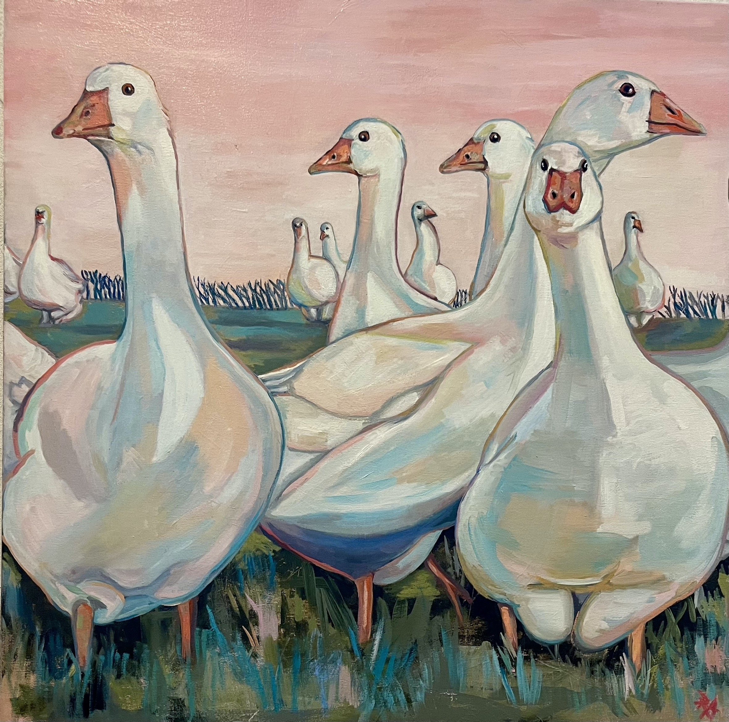 Geese