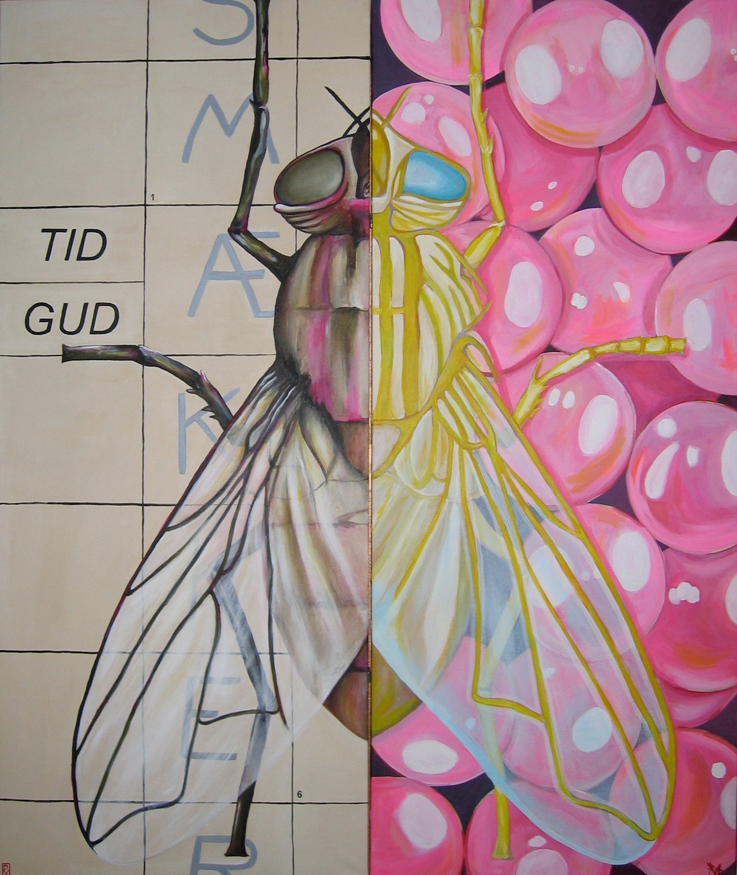 Super fly 2008 100x120cm Rikke A & Djana V.jpg