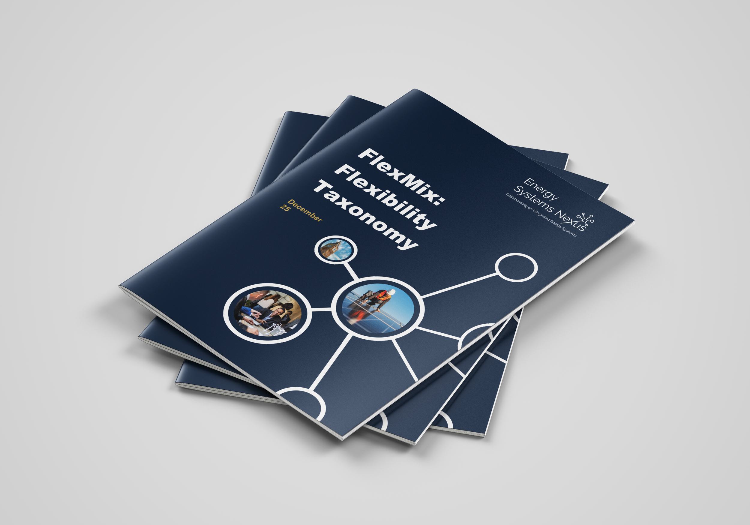 Flexibility Taxonomy: Defining a shared language for flexibility