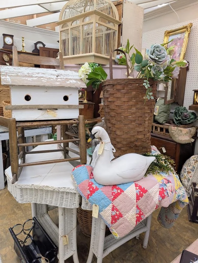 Grounded, organic, and effortlessly beautiful 🍃 This describes our theme for this week 🤩

We&rsquo;re kicking it off in Buford with all things natural&hellip; think woven textures, earthy tones, and those cozy boho vibes that make a space feel calm