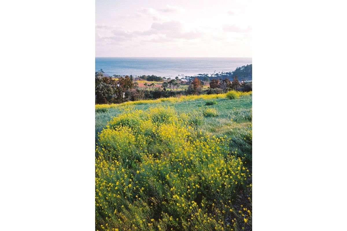 2022-03-16__kr__ryuseine__kangsoojin__cn-400-135-film__039.jpeg