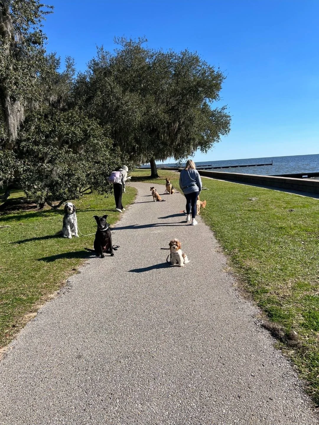 Monthly Subscription