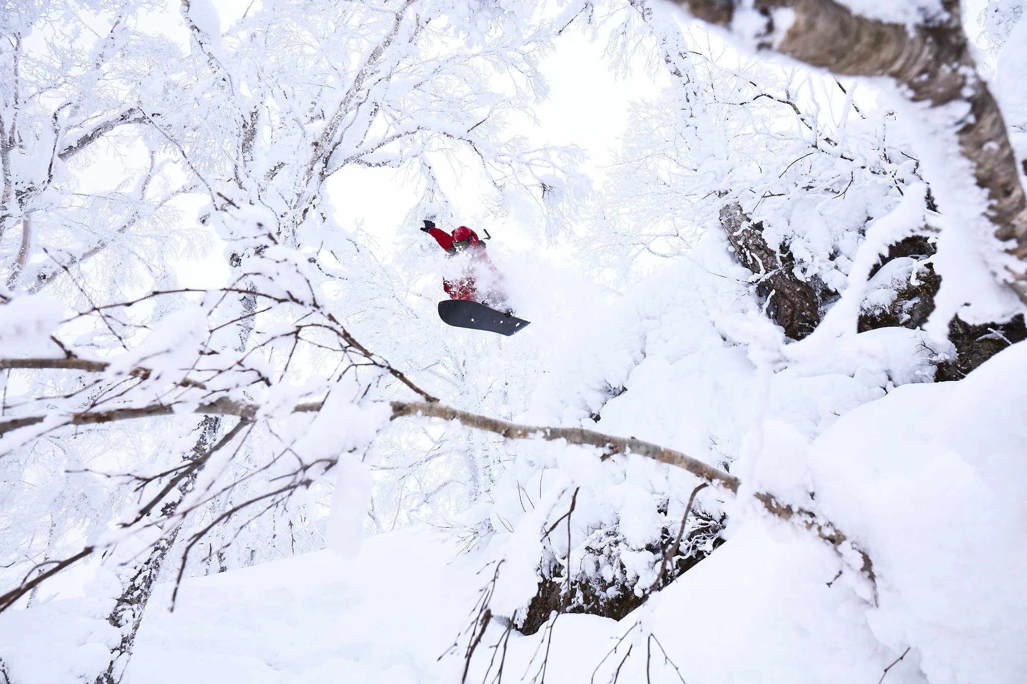 Snowboarding Japan Japow Niseko