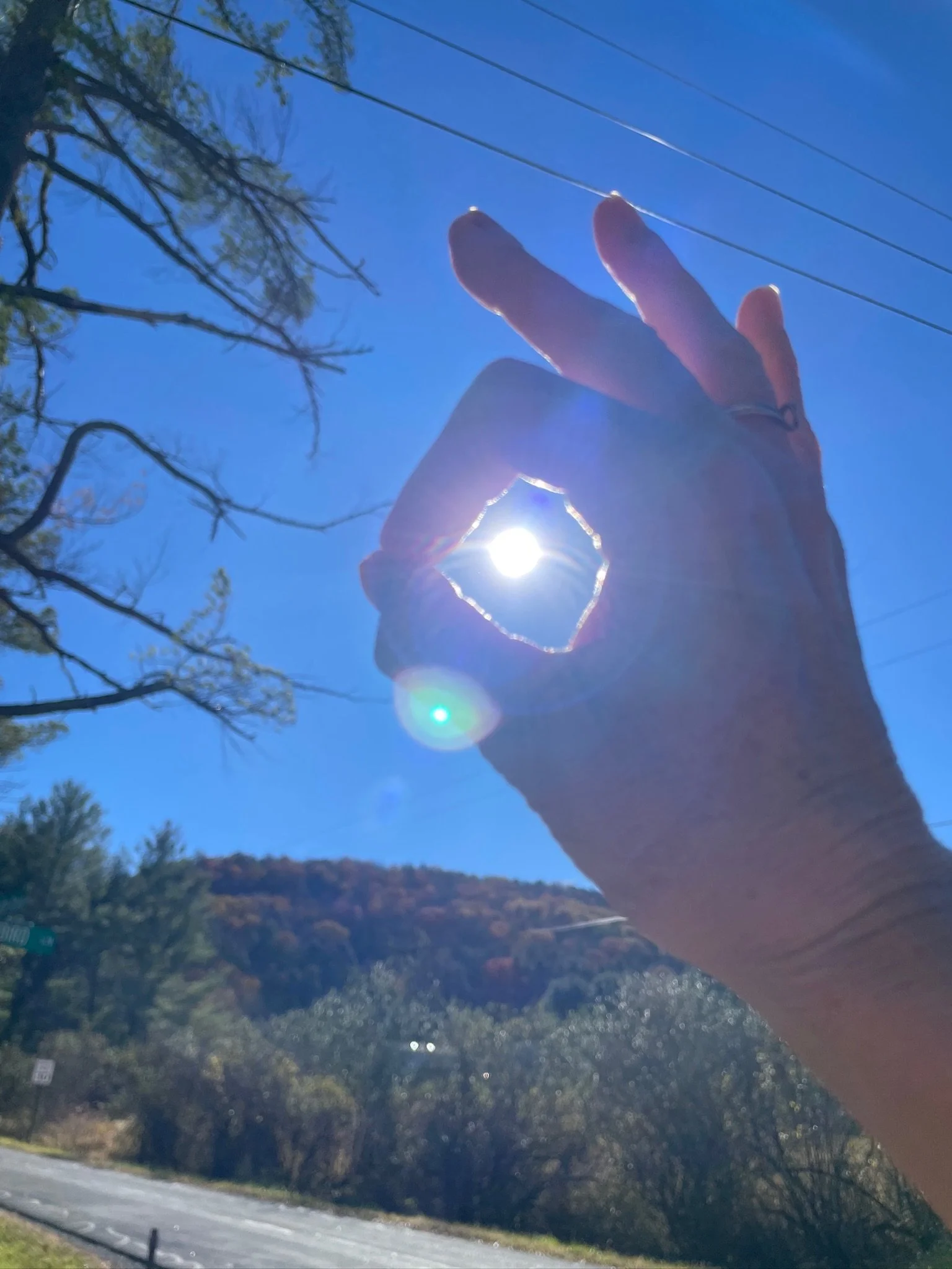 The Body: A Regenerating Miracle
