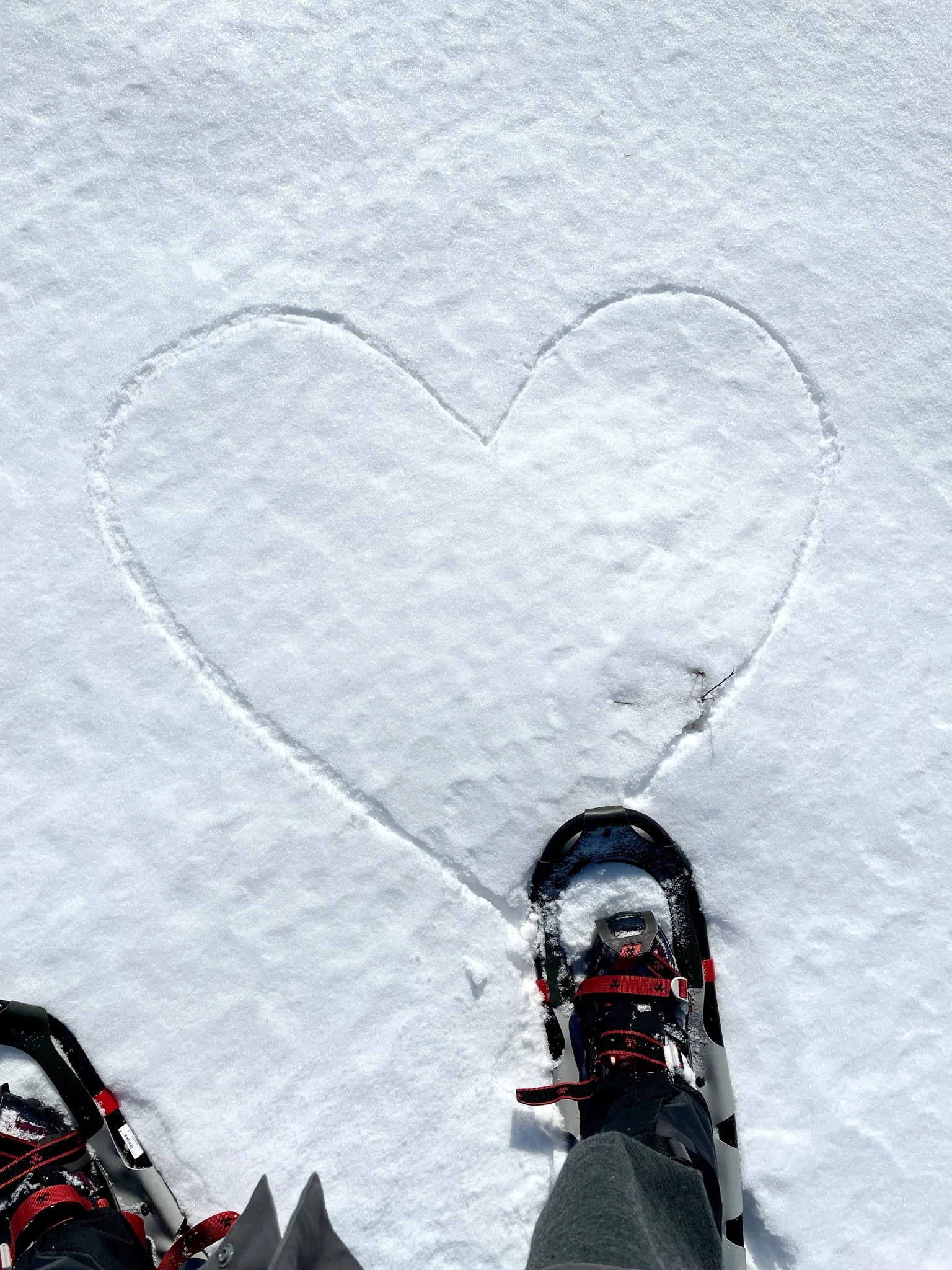 The Yogi and the Winter Storm: 4 Invitations