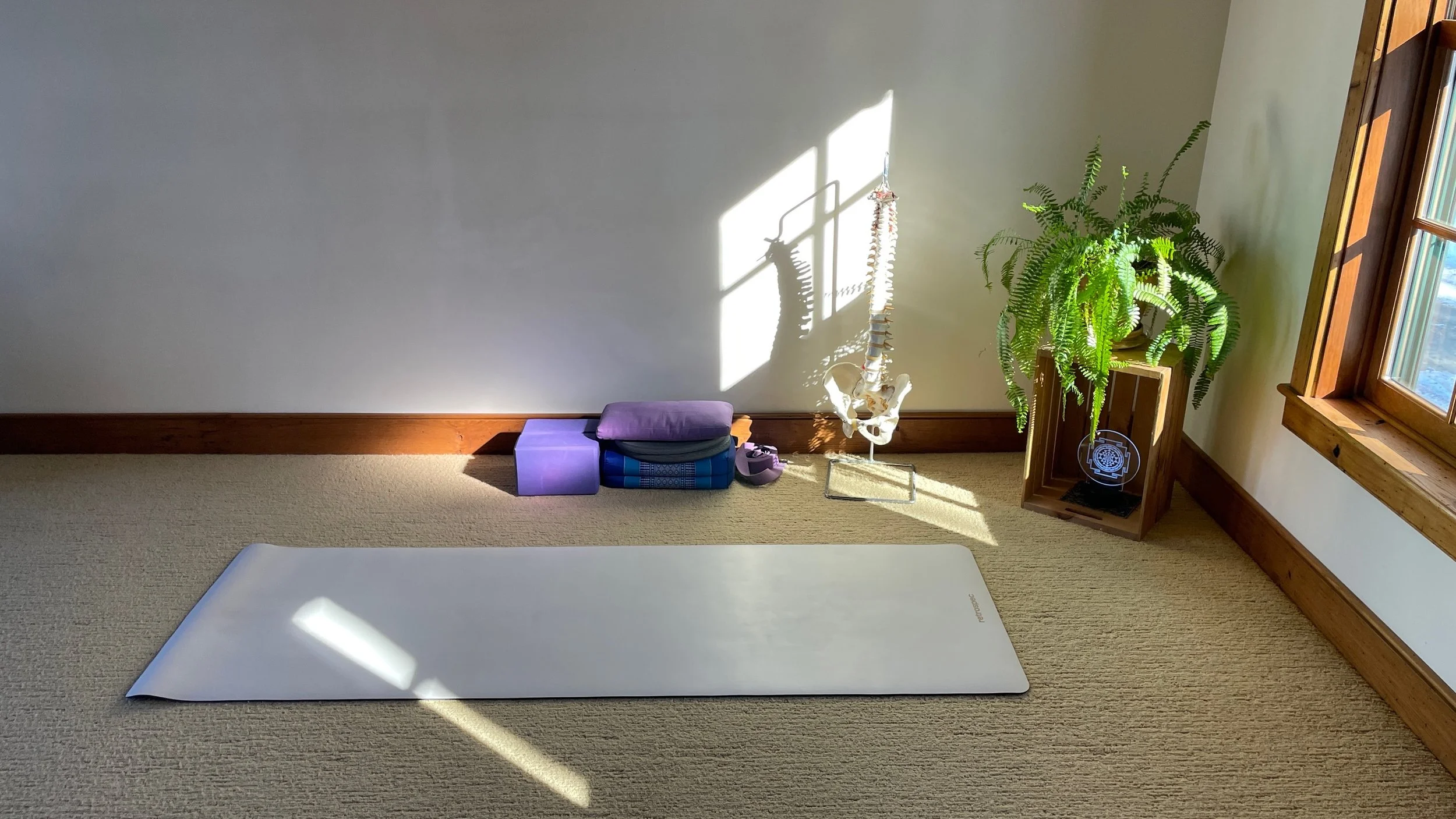 Five Supports for a Daily Practice: Developing Abhyasa