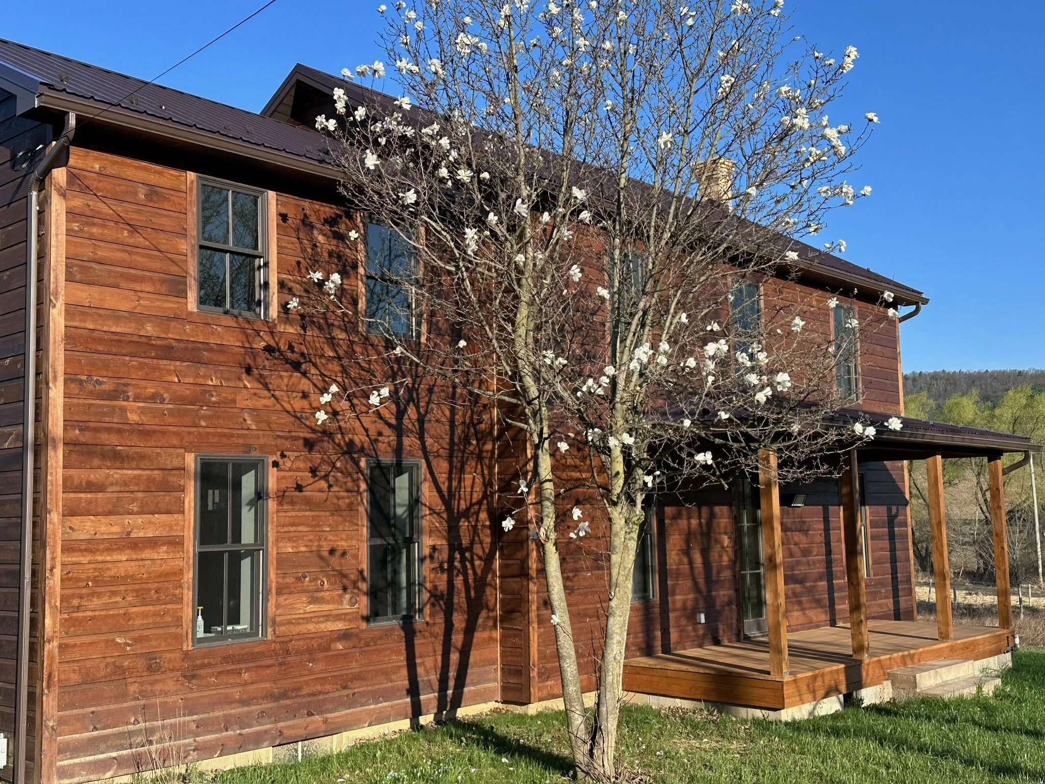 Yoga at 151 in Three Dimensions, Five Senses