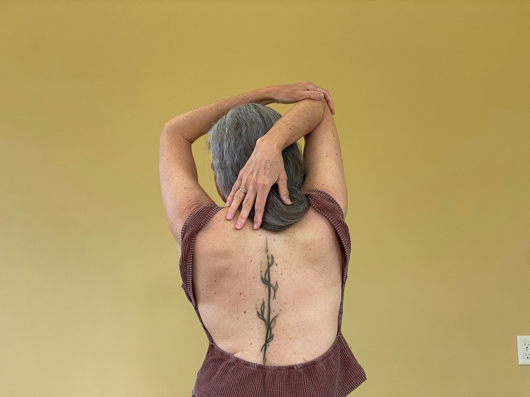 Spine Painting