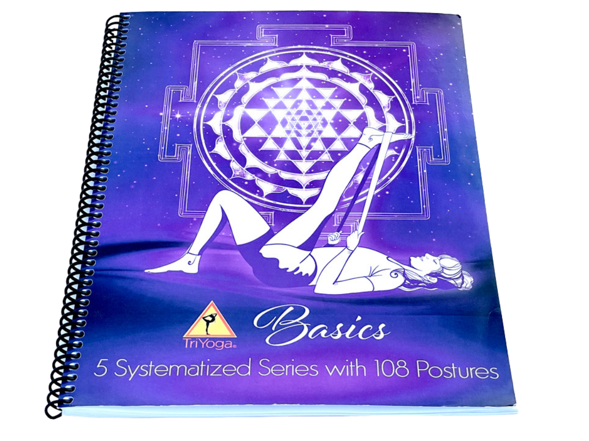 Info Session - Basics Teacher Training/Immersion