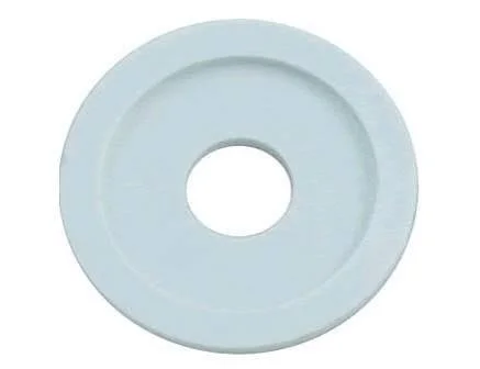 Polaris/Legend White Wheel Screw Washer C64