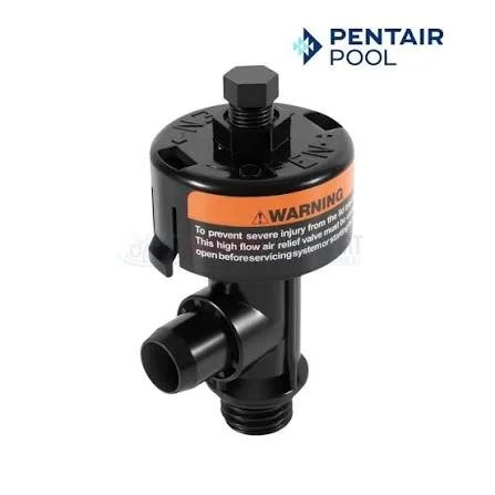 Pentair 98209803