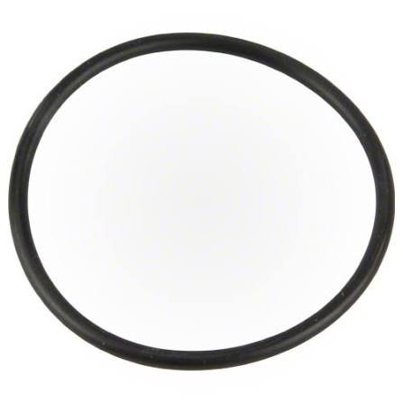 Pentair Intellichlor Union ORing 521147