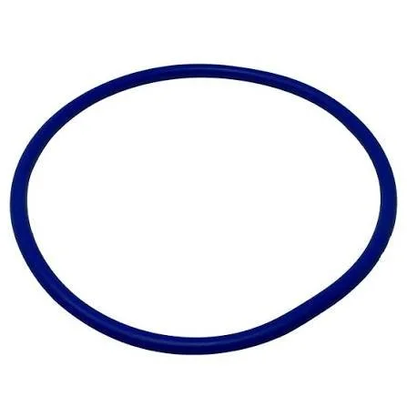 Pentair ORing Replacement Lid 356189Z