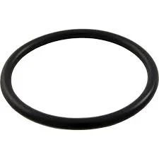 Universal pool filter drain plug oring