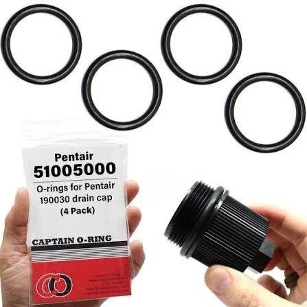 Pentair Filter Original 51005000