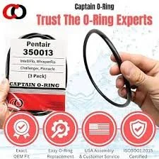 Pentair Pump ORing 350013