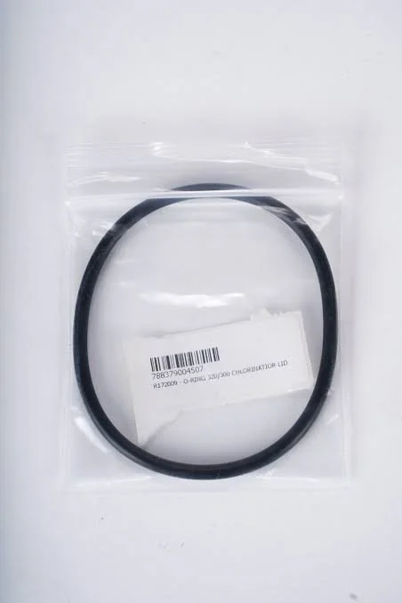 chlorinator lid oring