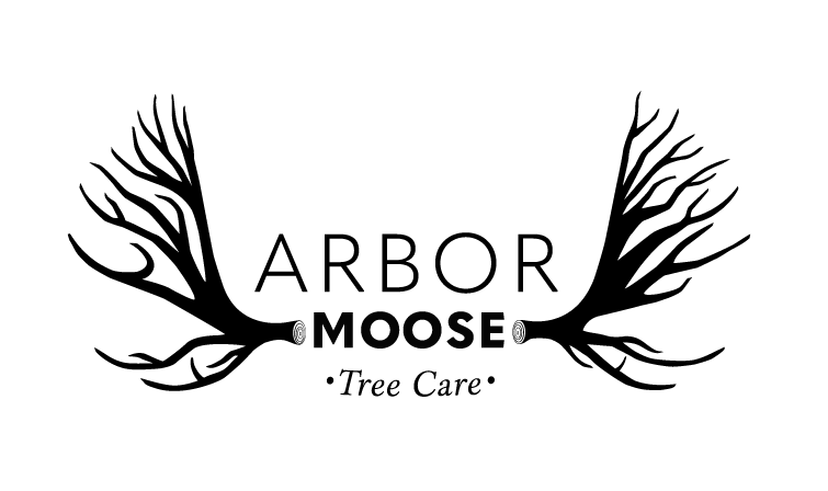 Arbor Moose Tree Care