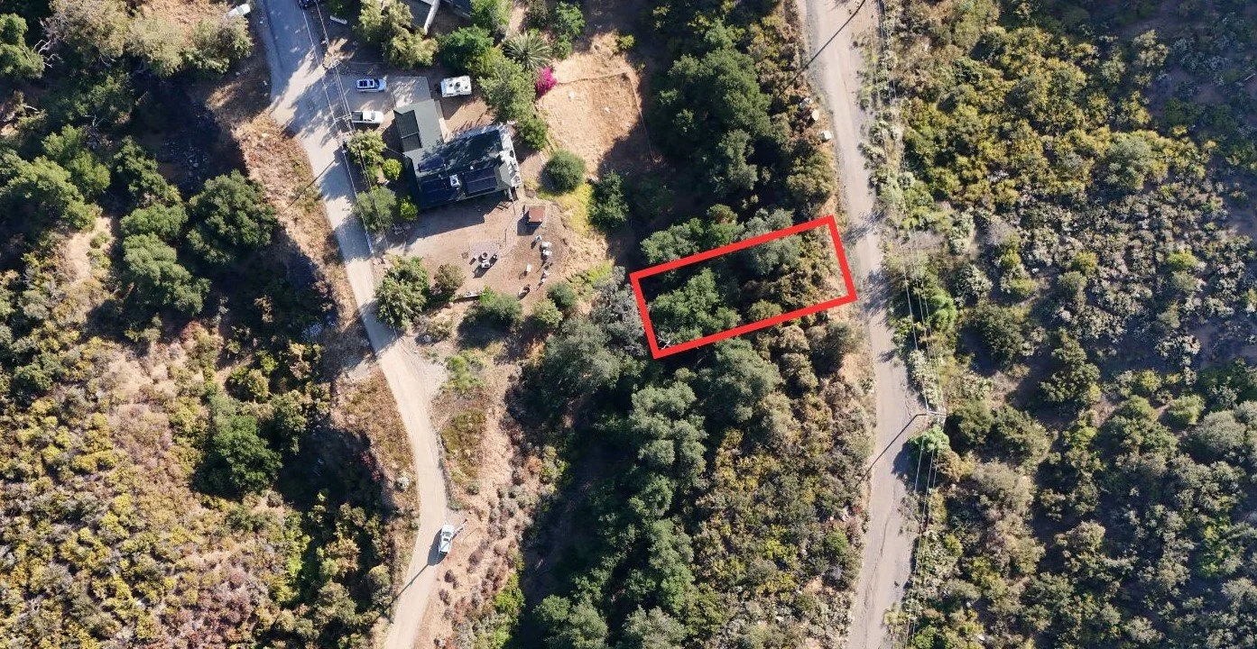 Untitled design (1).jpg