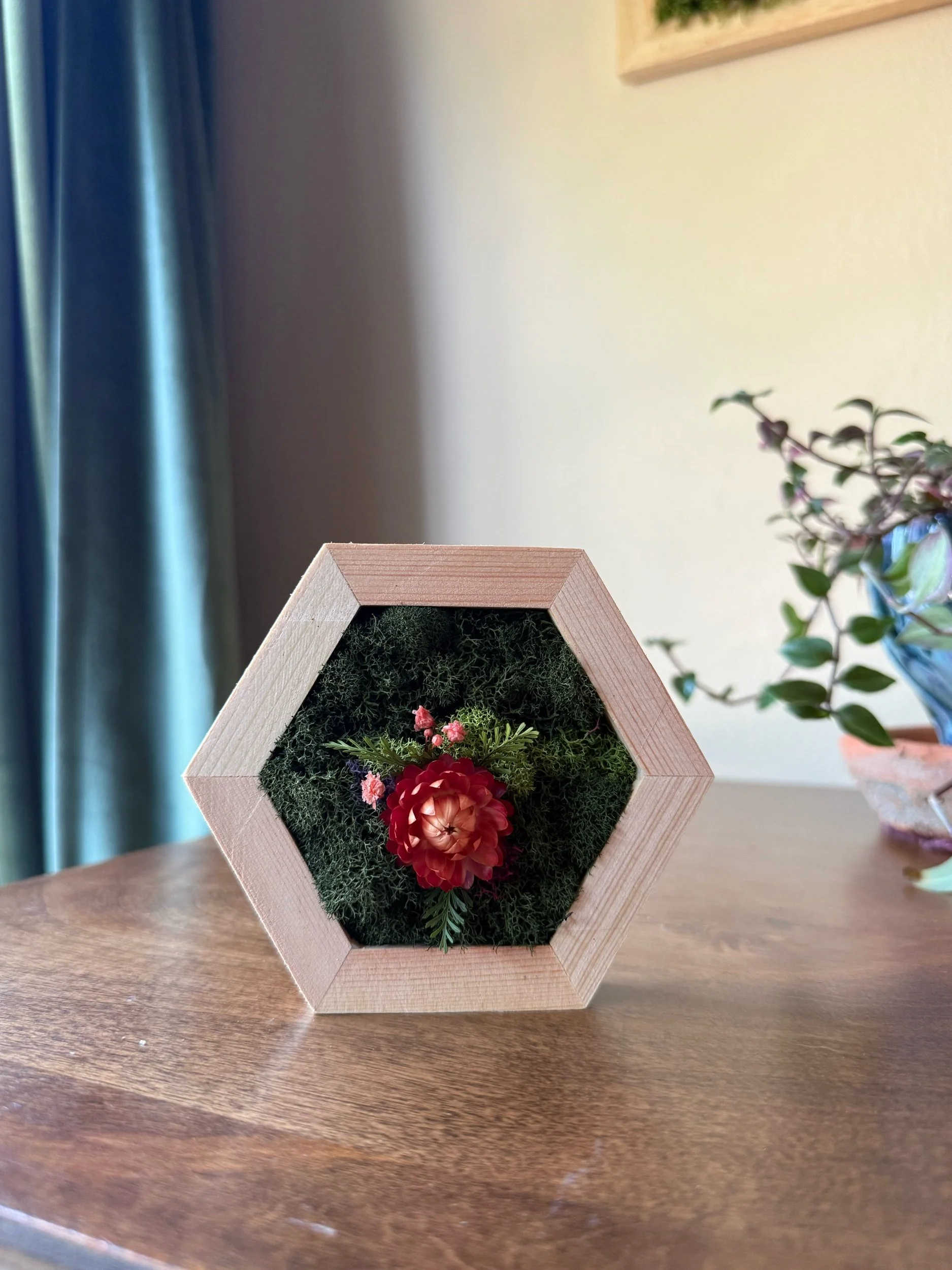 Small Mossy Hexagon