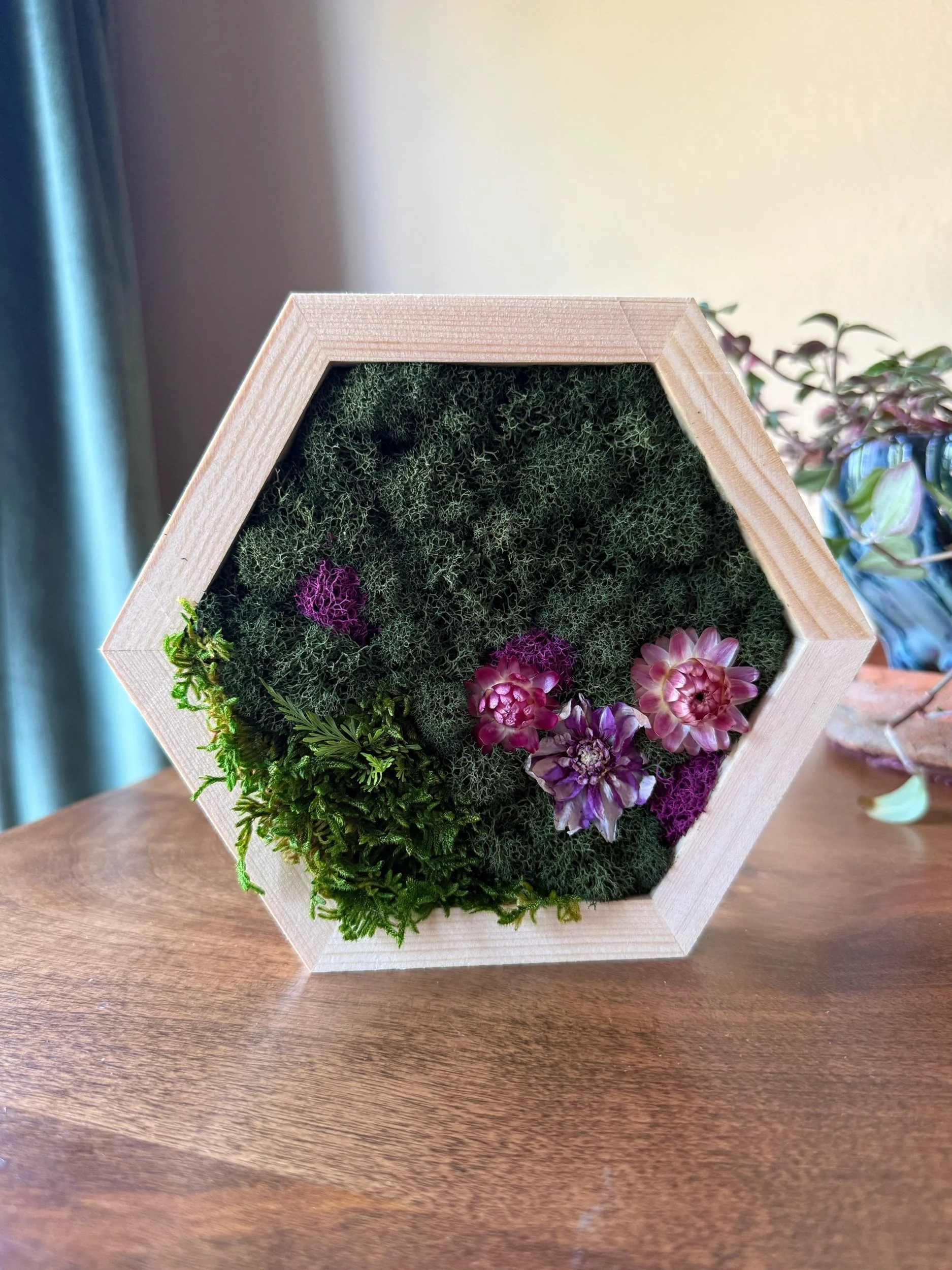 Medium Mossy Hexagon