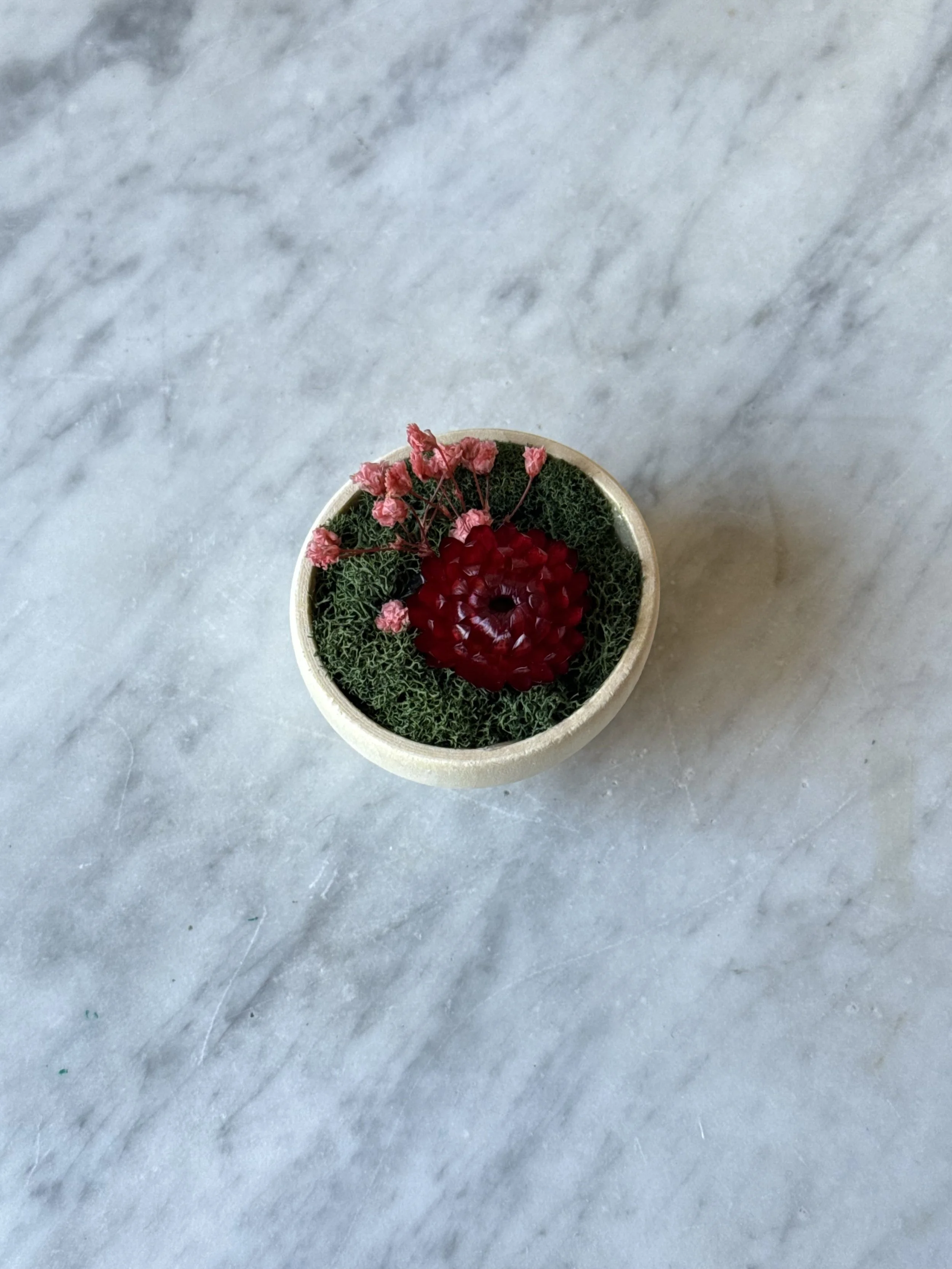 Strawflower Magnet