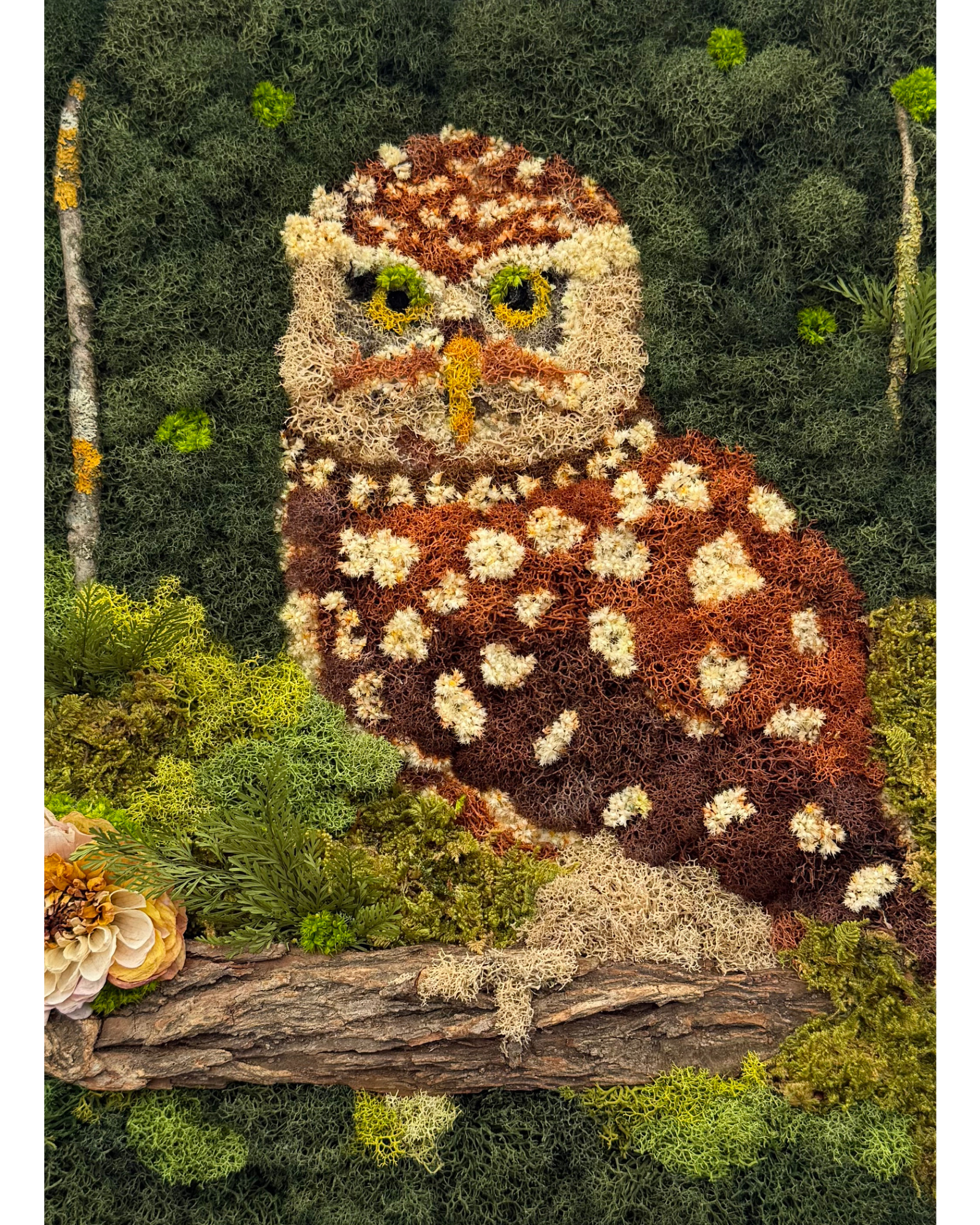 Untitled design (27).png