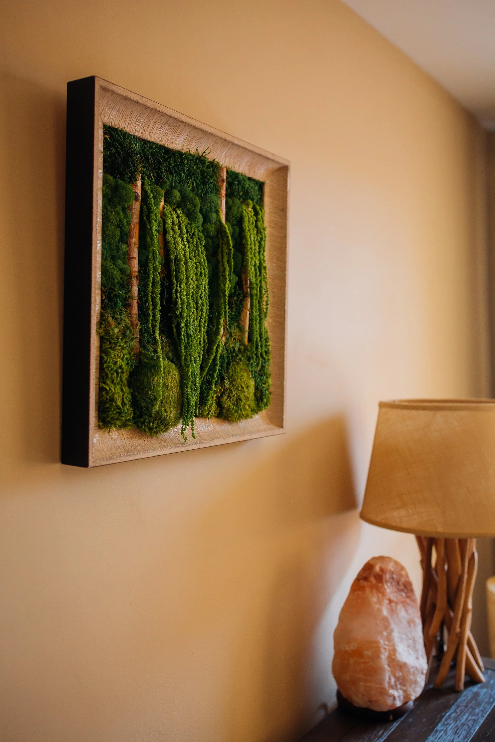 moss art botanical art set in a homey sunlit living room