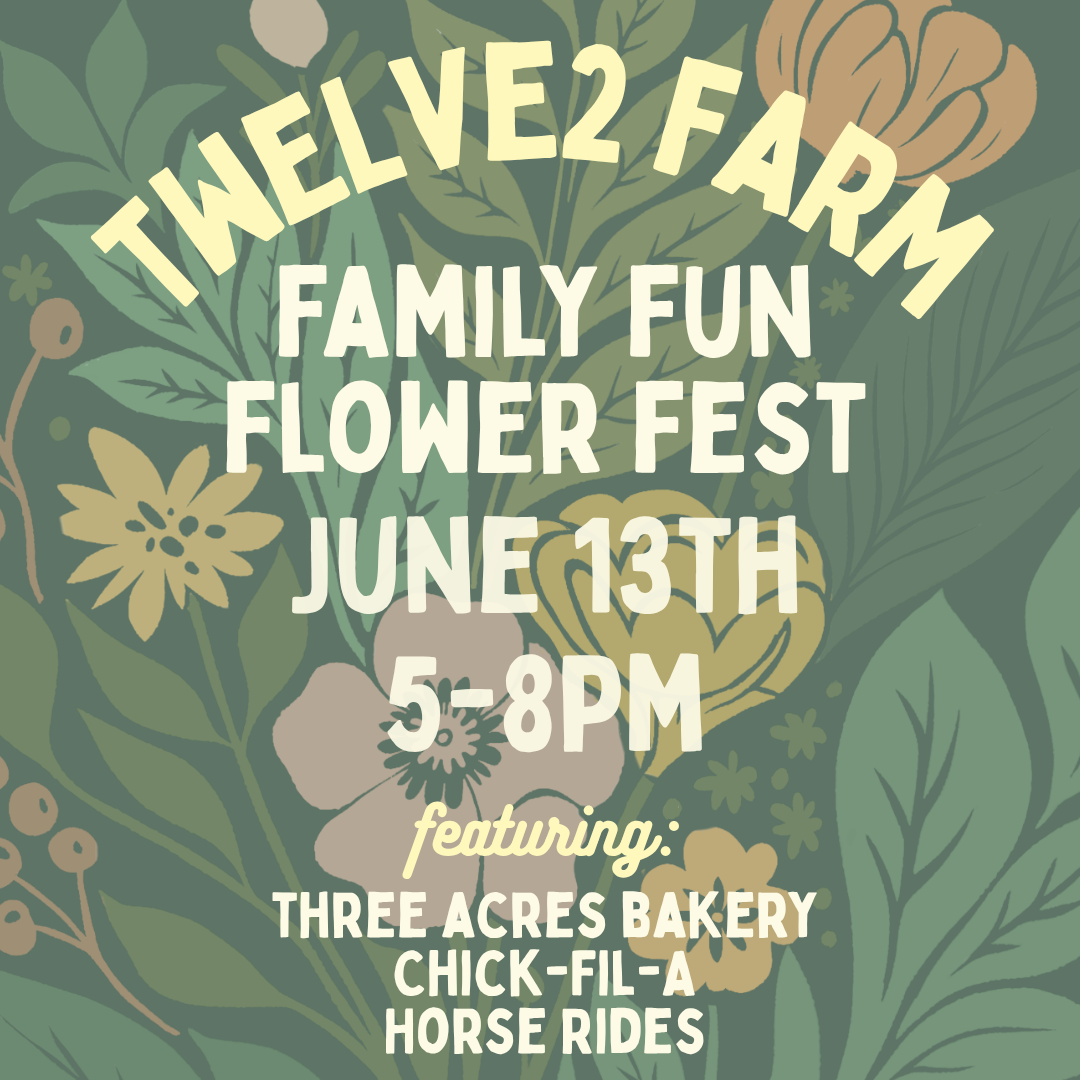 Family Fun Night