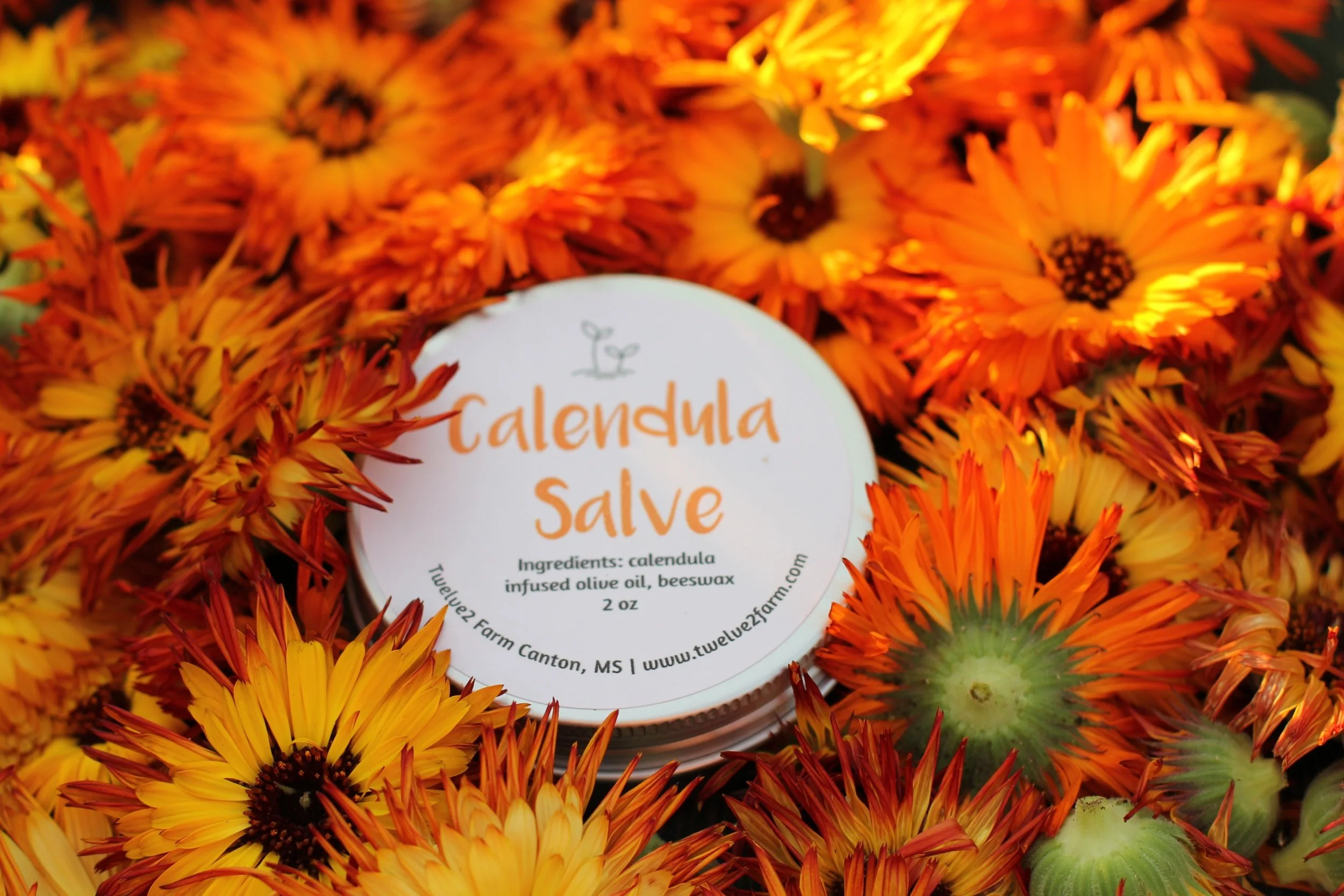 Calendula Salve