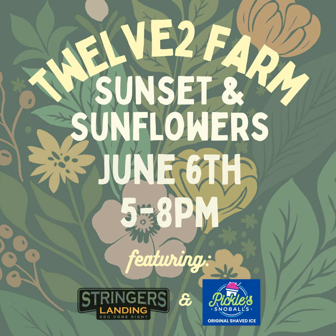 Sunset and Sunflowers